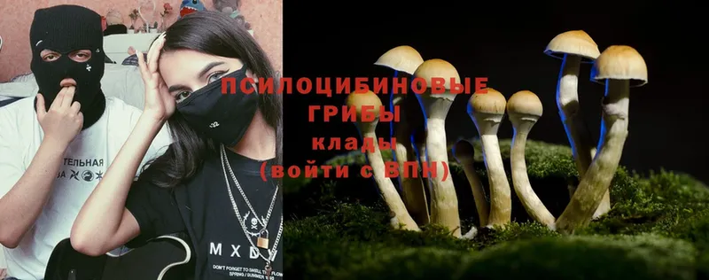 Галлюциногенные грибы Magic Shrooms  цена   Полярный 